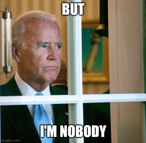 Sad Joe Biden | BUT I'M NOBODY | image tagged in sad joe biden | made w/ Imgflip meme maker