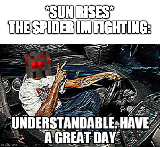 UNDERSTANDABLE, HAVE A GREAT DAY | *SUN RISES*
THE SPIDER IM FIGHTING: | image tagged in understandable have a great day | made w/ Imgflip meme maker