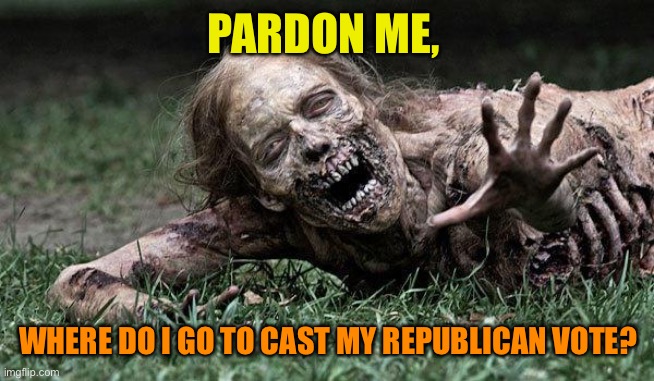 Walking Dead Zombie | PARDON ME, WHERE DO I GO TO CAST MY REPUBLICAN VOTE? | image tagged in walking dead zombie | made w/ Imgflip meme maker