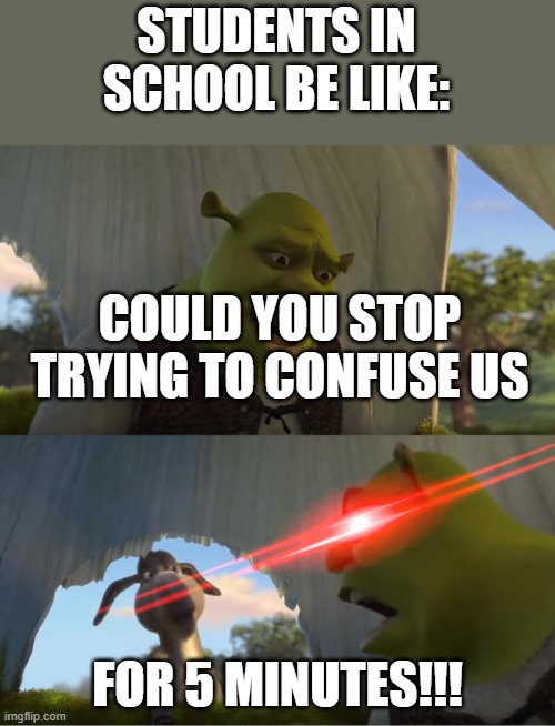 My life in a nutshell | STUDENTS IN SCHOOL BE LIKE:; COULD YOU STOP TRYING TO CONFUSE US; FOR 5 MINUTES!!! | image tagged in shrek for five minutes | made w/ Imgflip meme maker