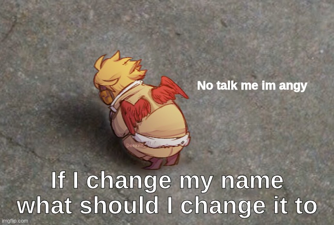 Hawks no talk me im angy | If I change my name what should I change it to | image tagged in hawks no talk me im angy | made w/ Imgflip meme maker