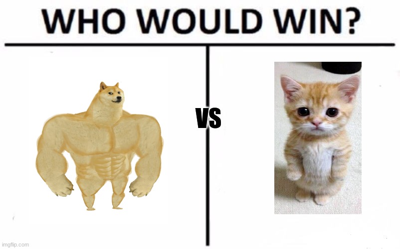 this is obvious that buff doge would win against the kitten :( | VS | image tagged in memes,who would win | made w/ Imgflip meme maker