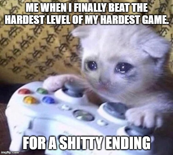 Sad Gamer Cat | ME WHEN I FINALLY BEAT THE HARDEST LEVEL OF MY HARDEST GAME. FOR A SHITTY ENDING | image tagged in sad gamer cat | made w/ Imgflip meme maker