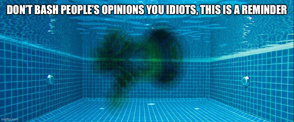 DON’T BASH PEOPLE’S OPINIONS YOU IDIOTS, THIS IS A REMINDER | made w/ Imgflip meme maker