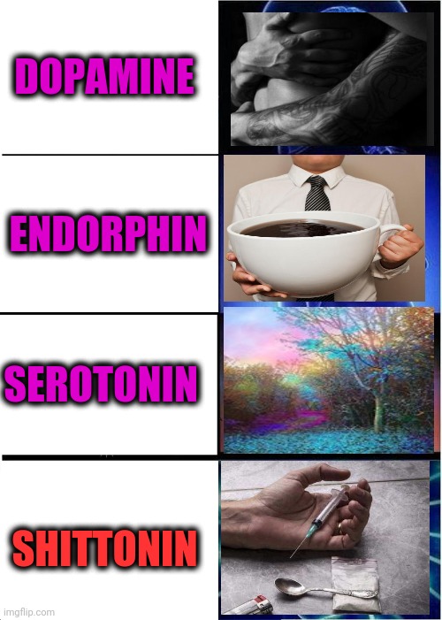 -As it making ladder. | DOPAMINE; ENDORPHIN; SEROTONIN; SHITTONIN | image tagged in memes,expanding brain,dope,mean girls,coffee addict,colourful | made w/ Imgflip meme maker