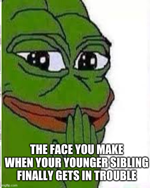 THE FACE YOU MAKE WHEN YOUR YOUNGER SIBLING FINALLY GETS IN TROUBLE | image tagged in memes,funny memes | made w/ Imgflip meme maker