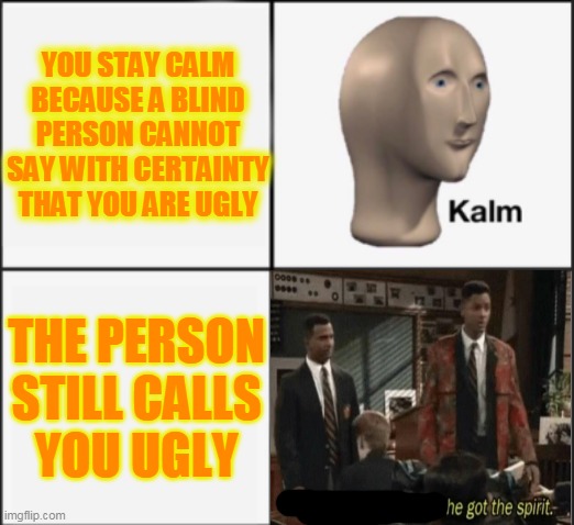 kalm panik | YOU STAY CALM
BECAUSE A BLIND
PERSON CANNOT
SAY WITH CERTAINTY
THAT YOU ARE UGLY; THE PERSON
STILL CALLS
YOU UGLY | image tagged in kalm panik | made w/ Imgflip meme maker