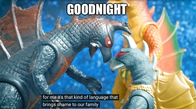 For me its that kind of language that brings shame to our family | GOODNIGHT | image tagged in for me its that kind of language that brings shame to our family | made w/ Imgflip meme maker