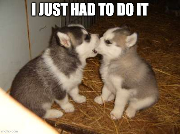 Cute Puppies Meme | I JUST HAD TO DO IT | image tagged in memes,cute puppies | made w/ Imgflip meme maker