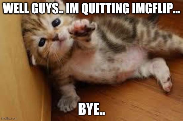bye especially you codmobileking | WELL GUYS.. IM QUITTING IMGFLIP... BYE.. | image tagged in sad kitten goodbye | made w/ Imgflip meme maker