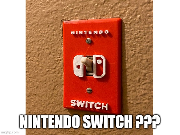 NINTENDO SWITCH ??? | image tagged in fun | made w/ Imgflip meme maker