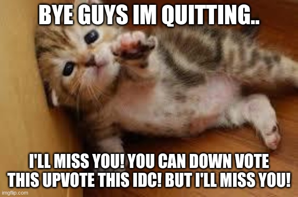 bye guys! | BYE GUYS IM QUITTING.. I'LL MISS YOU! YOU CAN DOWN VOTE THIS UPVOTE THIS IDC! BUT I'LL MISS YOU! | image tagged in sad kitten goodbye | made w/ Imgflip meme maker