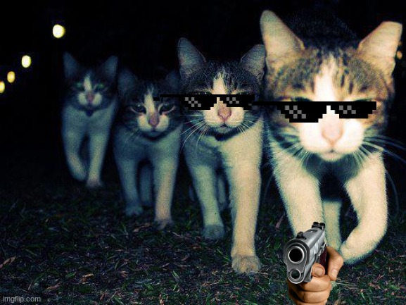 Wrong Neighboorhood Cats | image tagged in memes,wrong neighboorhood cats | made w/ Imgflip meme maker