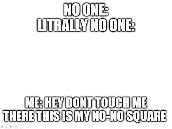 What am i doing with my life | NO ONE:
LITRALLY NO ONE:; ME: HEY DONT TOUCH ME THERE THIS IS MY NO-NO SQUARE | image tagged in blank white template | made w/ Imgflip meme maker