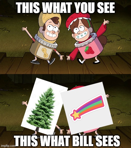 Idk | THIS WHAT YOU SEE; THIS WHAT BILL SEES | image tagged in gravity falls pbj | made w/ Imgflip meme maker