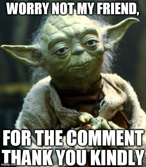 Star Wars Yoda Meme | WORRY NOT MY FRIEND, FOR THE COMMENT THANK YOU KINDLY | image tagged in memes,star wars yoda | made w/ Imgflip meme maker