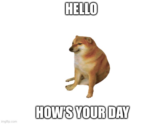 Blank White Template | HELLO; HOW’S YOUR DAY | image tagged in blank white template | made w/ Imgflip meme maker