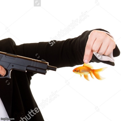 Goldfish Gun | image tagged in goldfish gun | made w/ Imgflip meme maker