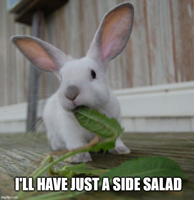 I'LL HAVE JUST A SIDE SALAD | image tagged in bunnies | made w/ Imgflip meme maker