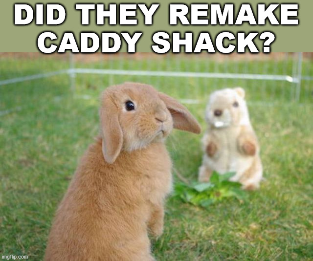 DID THEY REMAKE CADDY SHACK? | image tagged in bunnies | made w/ Imgflip meme maker