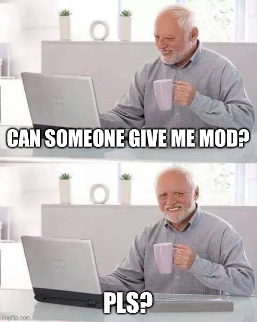 Hide the Pain Harold | CAN SOMEONE GIVE ME MOD? PLS? | image tagged in memes,hide the pain harold | made w/ Imgflip meme maker