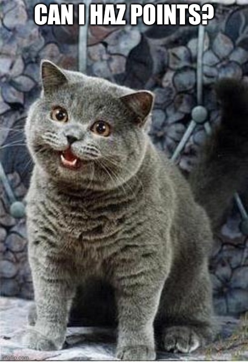 I can has cheezburger cat | CAN I HAZ POINTS? | image tagged in i can has cheezburger cat | made w/ Imgflip meme maker