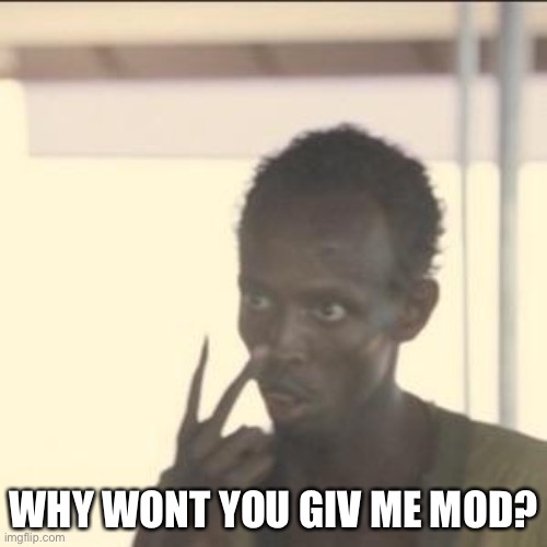 Look At Me | WHY WONT YOU GIV ME MOD? | image tagged in memes,look at me | made w/ Imgflip meme maker