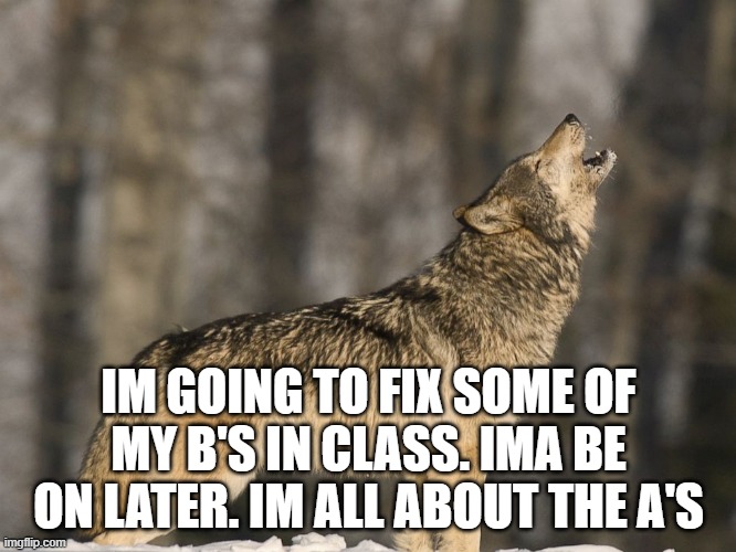 T21 howling | IM GOING TO FIX SOME OF MY B'S IN CLASS. IMA BE ON LATER. IM ALL ABOUT THE A'S | image tagged in t21 howling | made w/ Imgflip meme maker