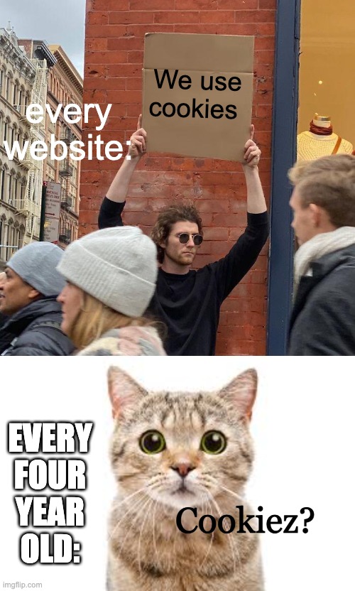 every website:; We use cookies; EVERY FOUR YEAR OLD:; Cookiez? | image tagged in memes,guy holding cardboard sign | made w/ Imgflip meme maker