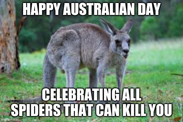 yay! spiders | HAPPY AUSTRALIAN DAY; CELEBRATING ALL SPIDERS THAT CAN KILL YOU | image tagged in spider man boss | made w/ Imgflip meme maker