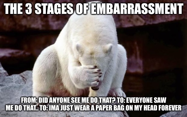 THE HORRIBLE 3 STAGES OF EMBARRASSMENT |  THE 3 STAGES OF EMBARRASSMENT; FROM: DID ANYONE SEE ME DO THAT? TO: EVERYONE SAW ME DO THAT.. TO: IMA JUST WEAR A PAPER BAG ON MY HEAD FOREVER | image tagged in the,horrible,3,stages,of,embarrassment | made w/ Imgflip meme maker
