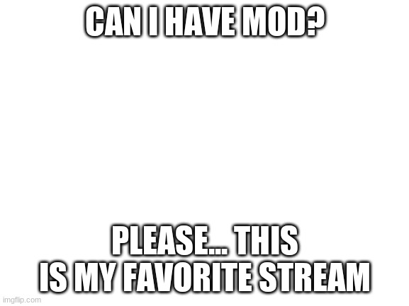 Blank White Template | CAN I HAVE MOD? PLEASE... THIS IS MY FAVORITE STREAM | image tagged in blank white template | made w/ Imgflip meme maker