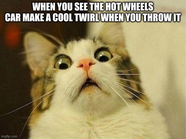 Scared Cat Meme | WHEN YOU SEE THE HOT WHEELS CAR MAKE A COOL TWIRL WHEN YOU THROW IT | image tagged in memes,scared cat | made w/ Imgflip meme maker