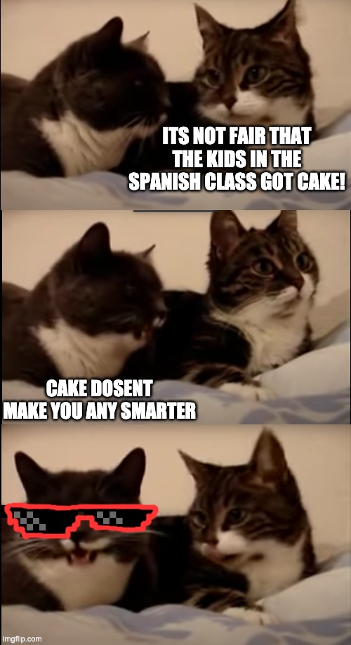 Big Brain Time | ITS NOT FAIR THAT THE KIDS IN THE SPANISH CLASS GOT CAKE! CAKE DOSENT MAKE YOU ANY SMARTER | image tagged in cats,funny memes,memes,big brain | made w/ Imgflip meme maker