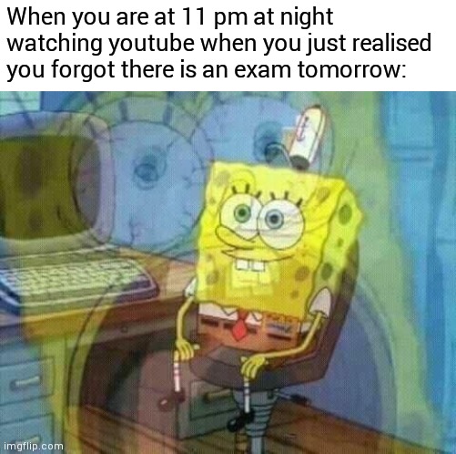 Free epic 100% grades | When you are at 11 pm at night watching youtube when you just realised you forgot there is an exam tomorrow: | image tagged in spongebob panic inside,spongebob,exam,exams,school,night | made w/ Imgflip meme maker
