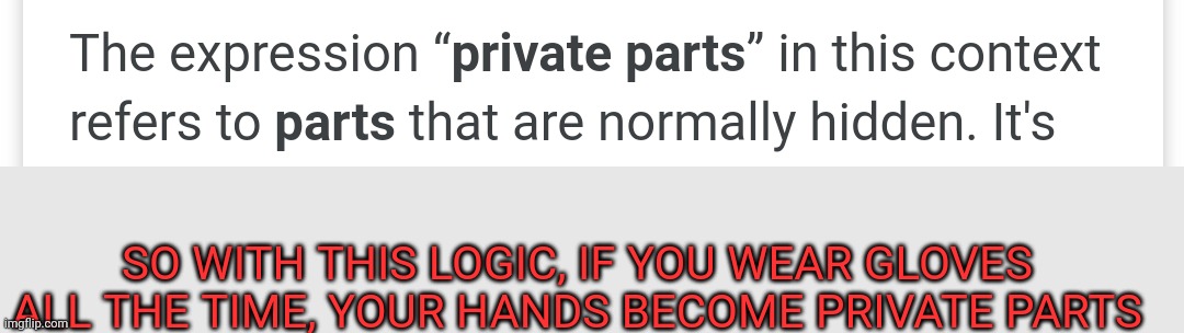Image Title | SO WITH THIS LOGIC, IF YOU WEAR GLOVES ALL THE TIME, YOUR HANDS BECOME PRIVATE PARTS | image tagged in this is,true,dont question me | made w/ Imgflip meme maker