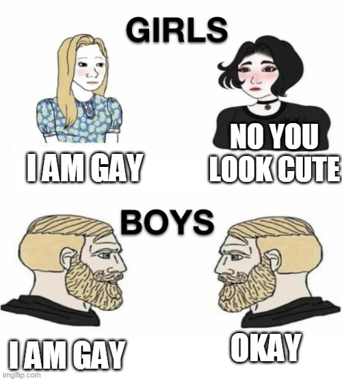 girls gay vs boys gay | NO YOU LOOK CUTE; I AM GAY; I AM GAY; OKAY | image tagged in girls vs boys,yes | made w/ Imgflip meme maker