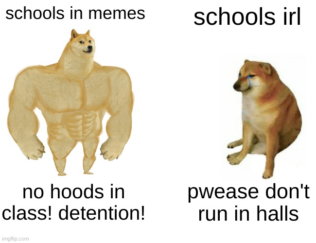 school in memes vs schools irl | schools in memes; schools irl; no hoods in class! detention! pwease don't run in halls | image tagged in memes,buff doge vs cheems | made w/ Imgflip meme maker