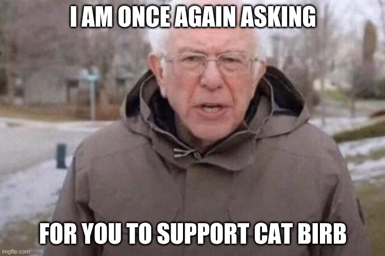 Support cat birb | I AM ONCE AGAIN ASKING; FOR YOU TO SUPPORT CAT BIRB | image tagged in i am once again asking | made w/ Imgflip meme maker