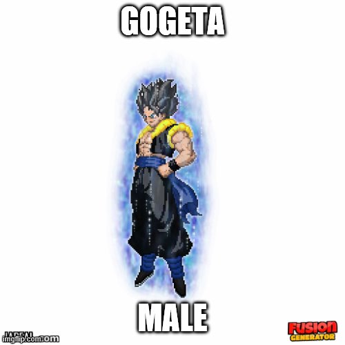 gogeta ui | GOGETA MALE | image tagged in gogeta ui | made w/ Imgflip meme maker