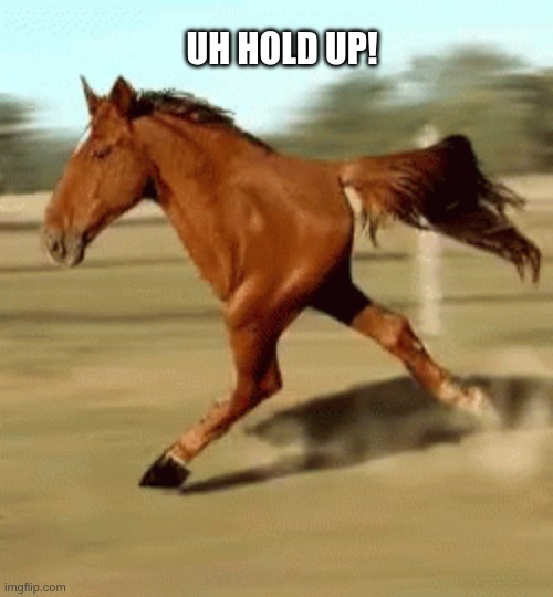 W H A T | UH HOLD UP! | image tagged in horse,legs,eyes | made w/ Imgflip meme maker
