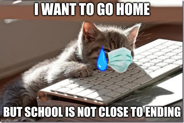 I want to leave school | I WANT TO GO HOME; BUT SCHOOL IS NOT CLOSE TO ENDING | image tagged in bored keyboard cat | made w/ Imgflip meme maker
