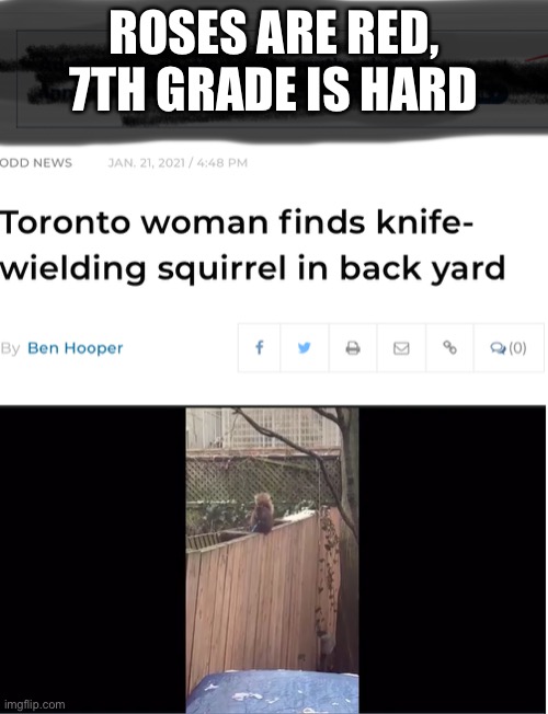 I was asked to do more | ROSES ARE RED,
7TH GRADE IS HARD | image tagged in funny,news,memes,roses are red,squirrel,knife | made w/ Imgflip meme maker
