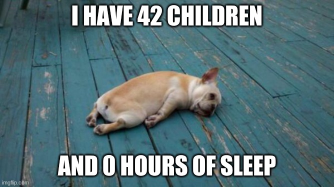 tired dog | I HAVE 42 CHILDREN AND 0 HOURS OF SLEEP | image tagged in tired dog | made w/ Imgflip meme maker