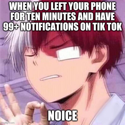 Todoroki | WHEN YOU LEFT YOUR PHONE FOR TEN MINUTES AND HAVE 99+ NOTIFICATIONS ON TIK TOK; NOICE | image tagged in todoroki | made w/ Imgflip meme maker