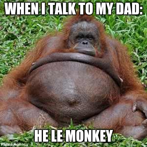 when you talk to your dad | WHEN I TALK TO MY DAD:; HE LE MONKEY | image tagged in fat monkey,monkeys,funny,fyp,memes,funny memes | made w/ Imgflip meme maker