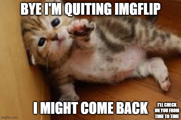 Sad Kitten Goodbye | BYE I'M QUITING IMGFLIP; I MIGHT COME BACK; I'LL CHECK ON YOU FROM TIME TO TIME | image tagged in sad kitten goodbye | made w/ Imgflip meme maker