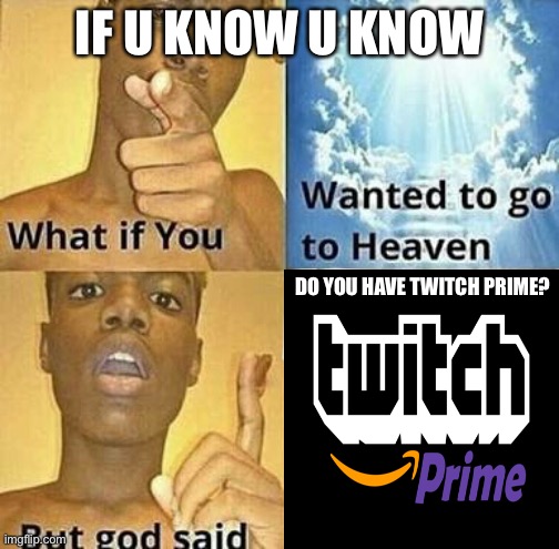 If u know u know | IF U KNOW U KNOW; DO YOU HAVE TWITCH PRIME? | image tagged in what if you wanted to go to heaven,funny,twitch,memes,if you know what i mean,fun | made w/ Imgflip meme maker