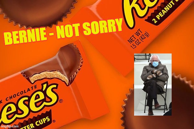 Not Sorry | BERNIE - NOT SORRY | image tagged in reese's cup,bernie sanders mittens | made w/ Imgflip meme maker