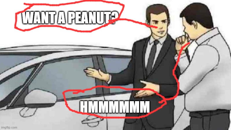 Car Salesman Slaps Roof Of Car | WANT A PEANUT? HMMMMMM | image tagged in memes,car salesman slaps roof of car | made w/ Imgflip meme maker